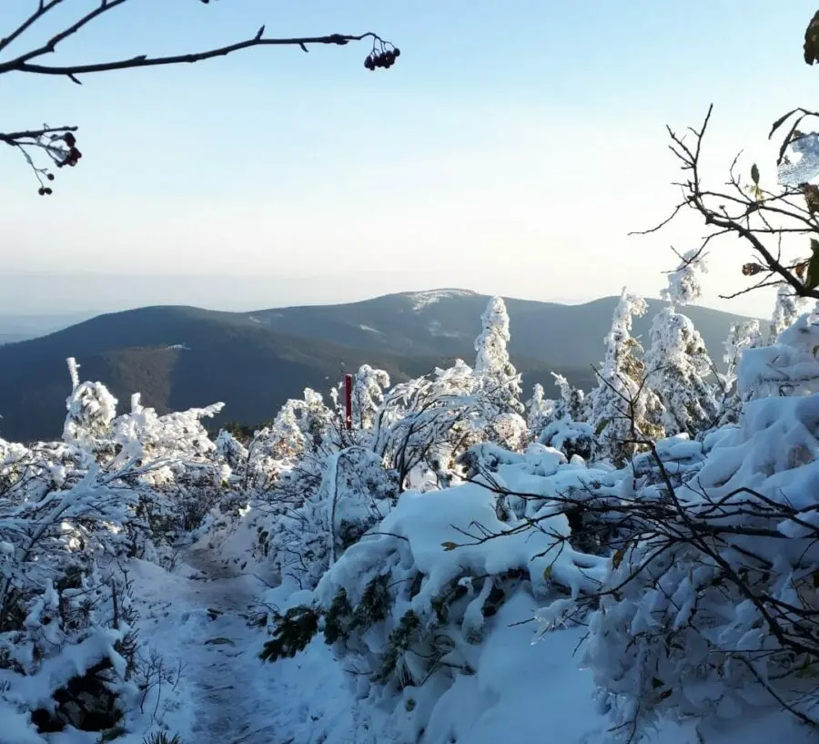 Zdjęcie z programu wyjazdu