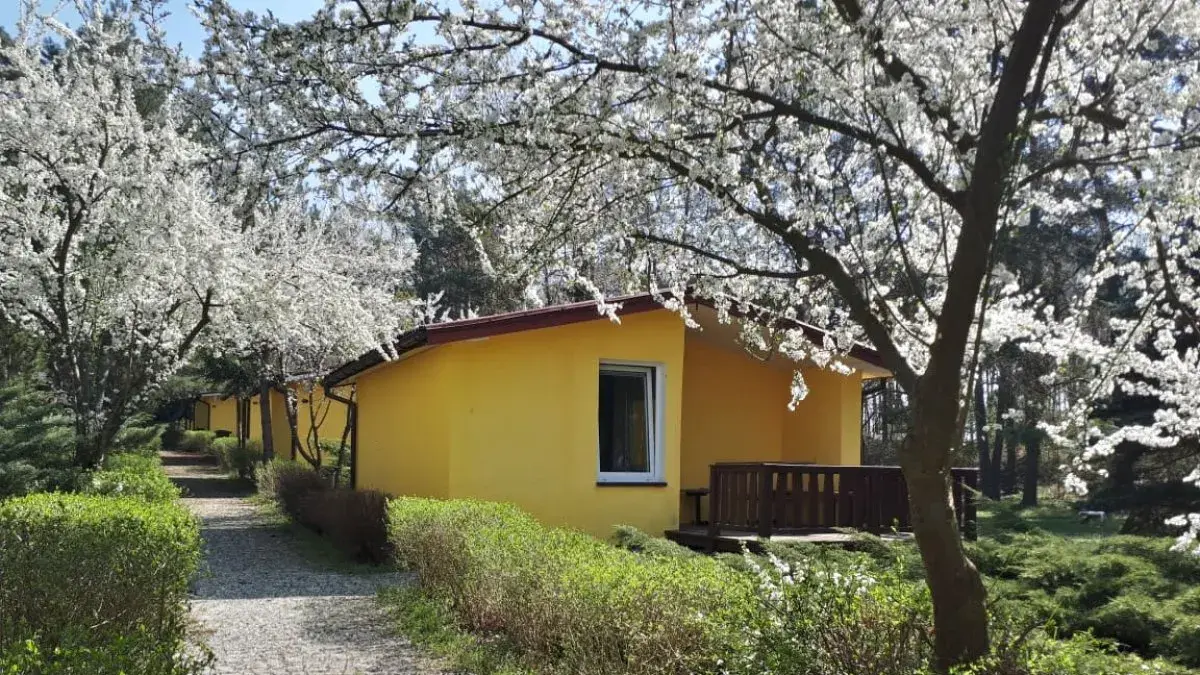 Zdjęcie z programu wyjazdu