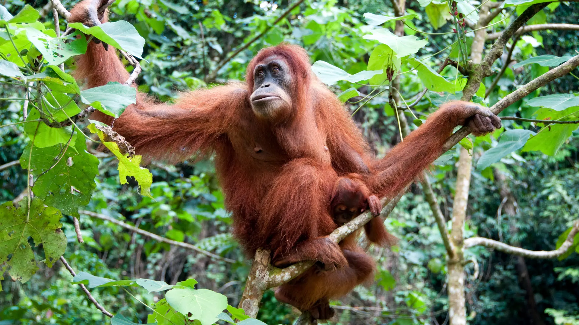 Zdjęcie z programu wyjazdu