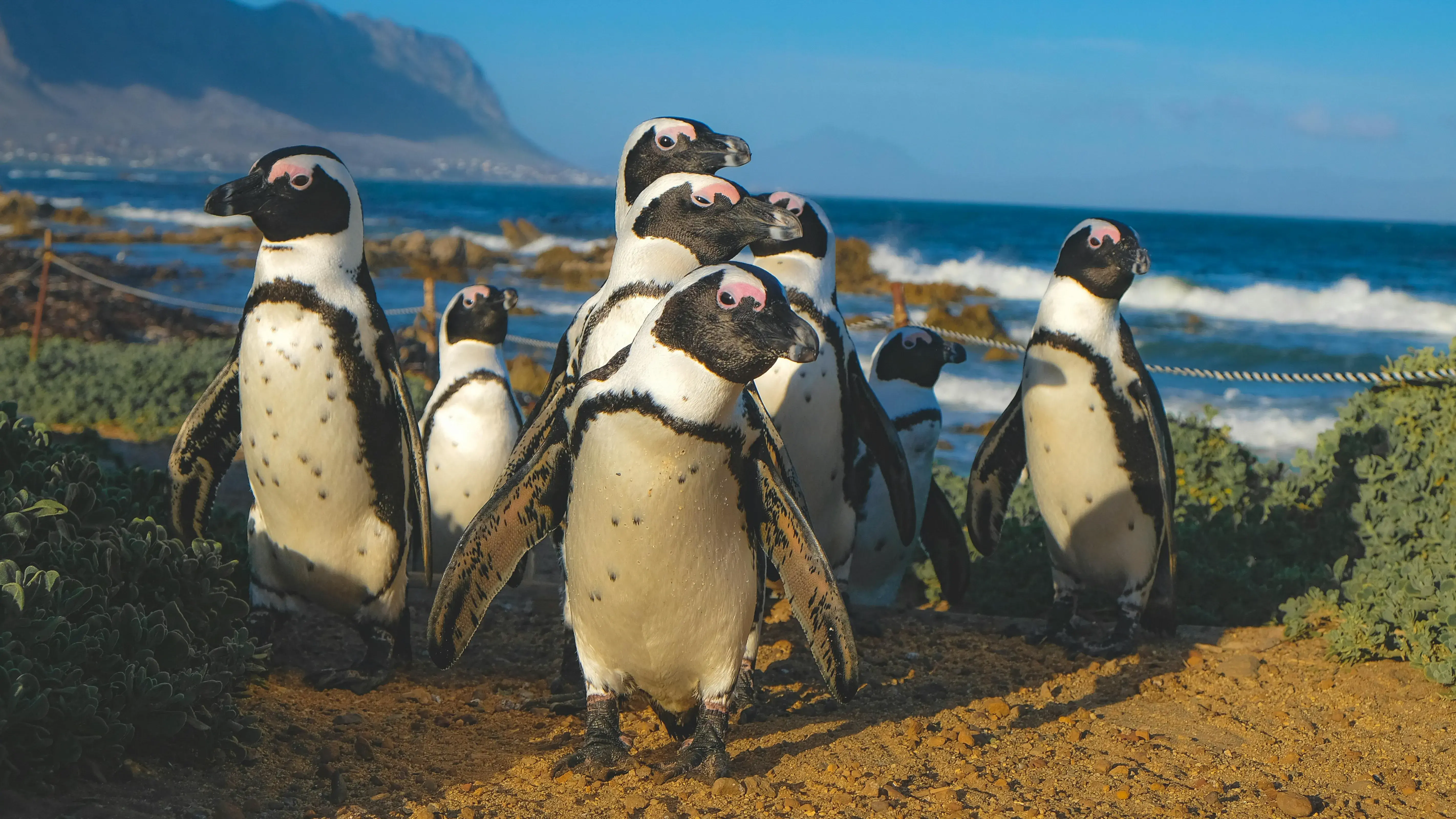 Zdjęcie z programu wyjazdu