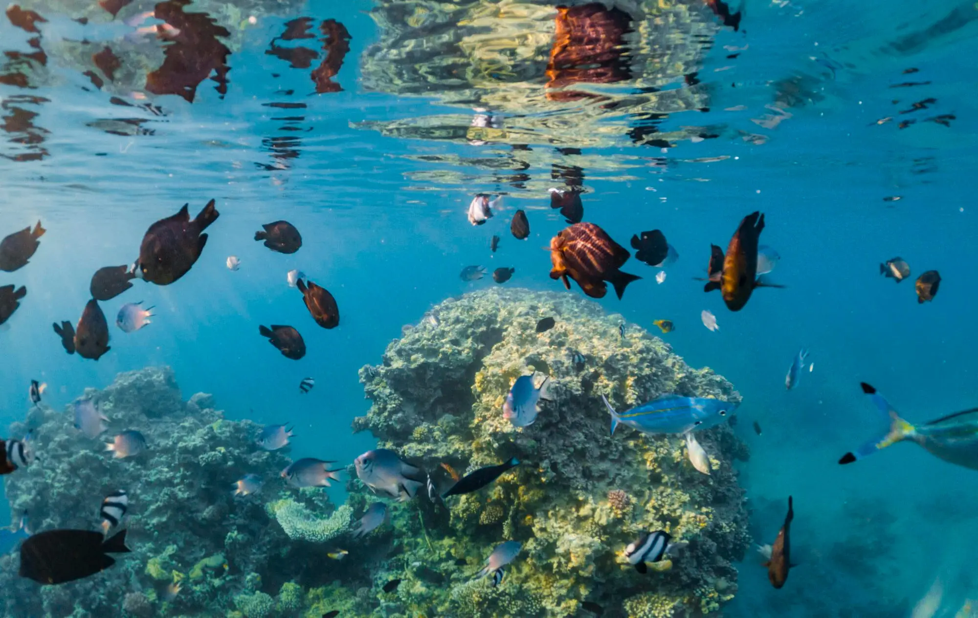 Zdjęcie z programu wyjazdu