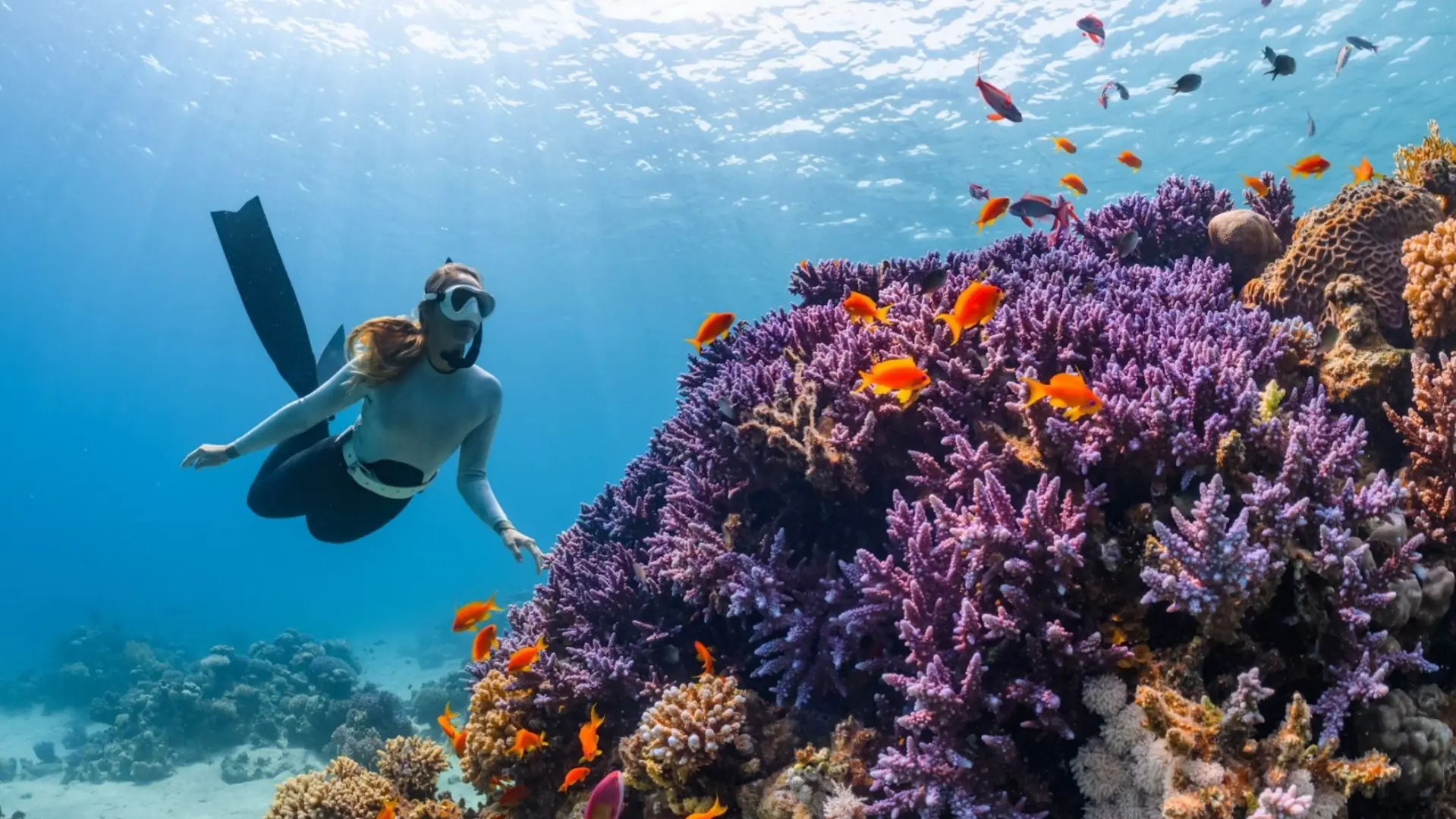 Zdjęcie z programu wyjazdu