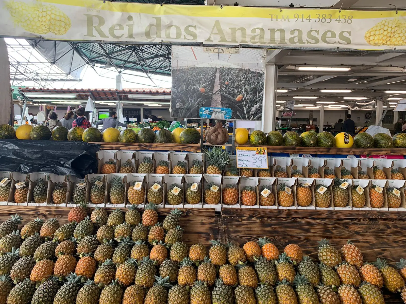 Zdjęcie z programu wyjazdu