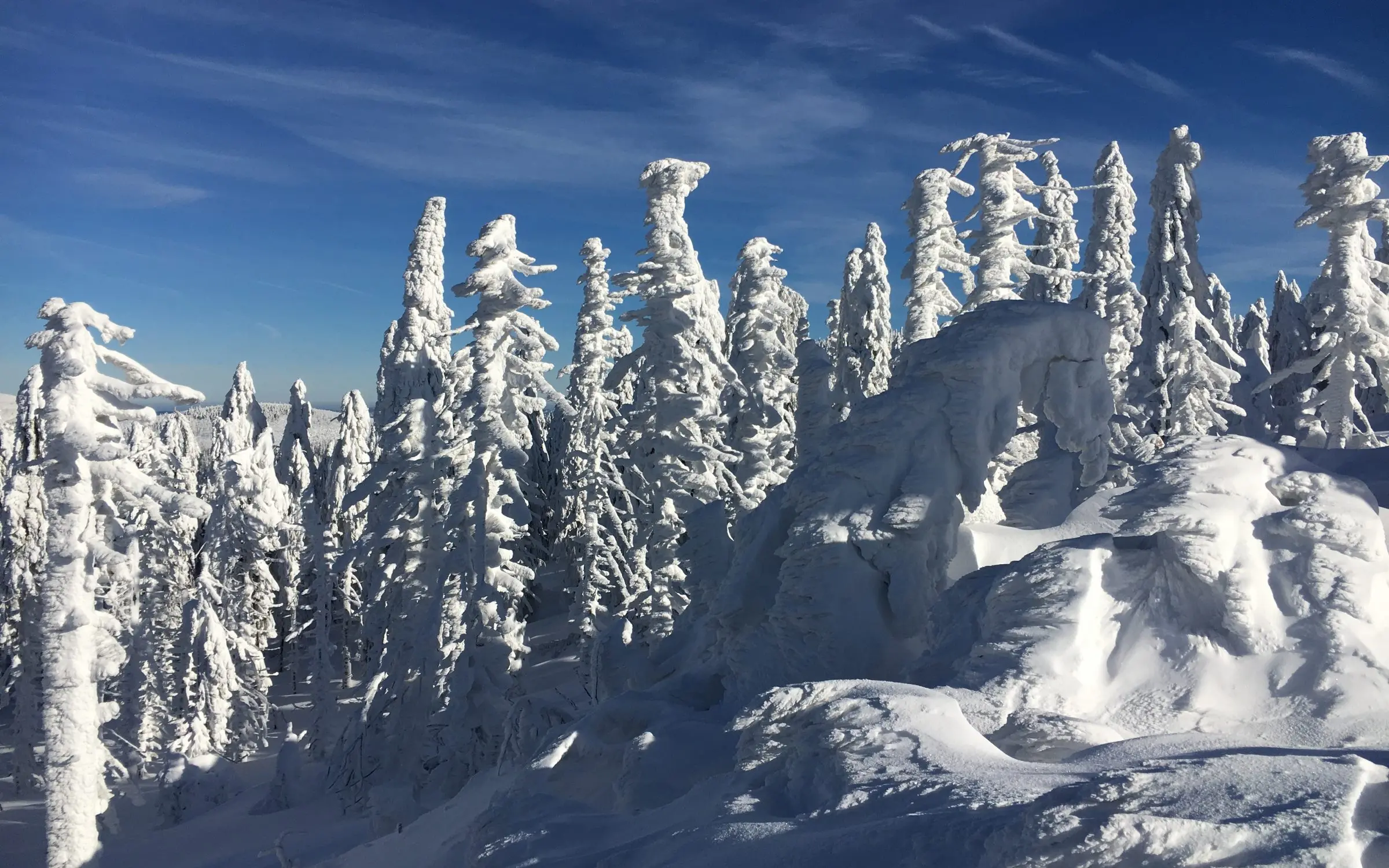 Zdjęcie z programu wyjazdu