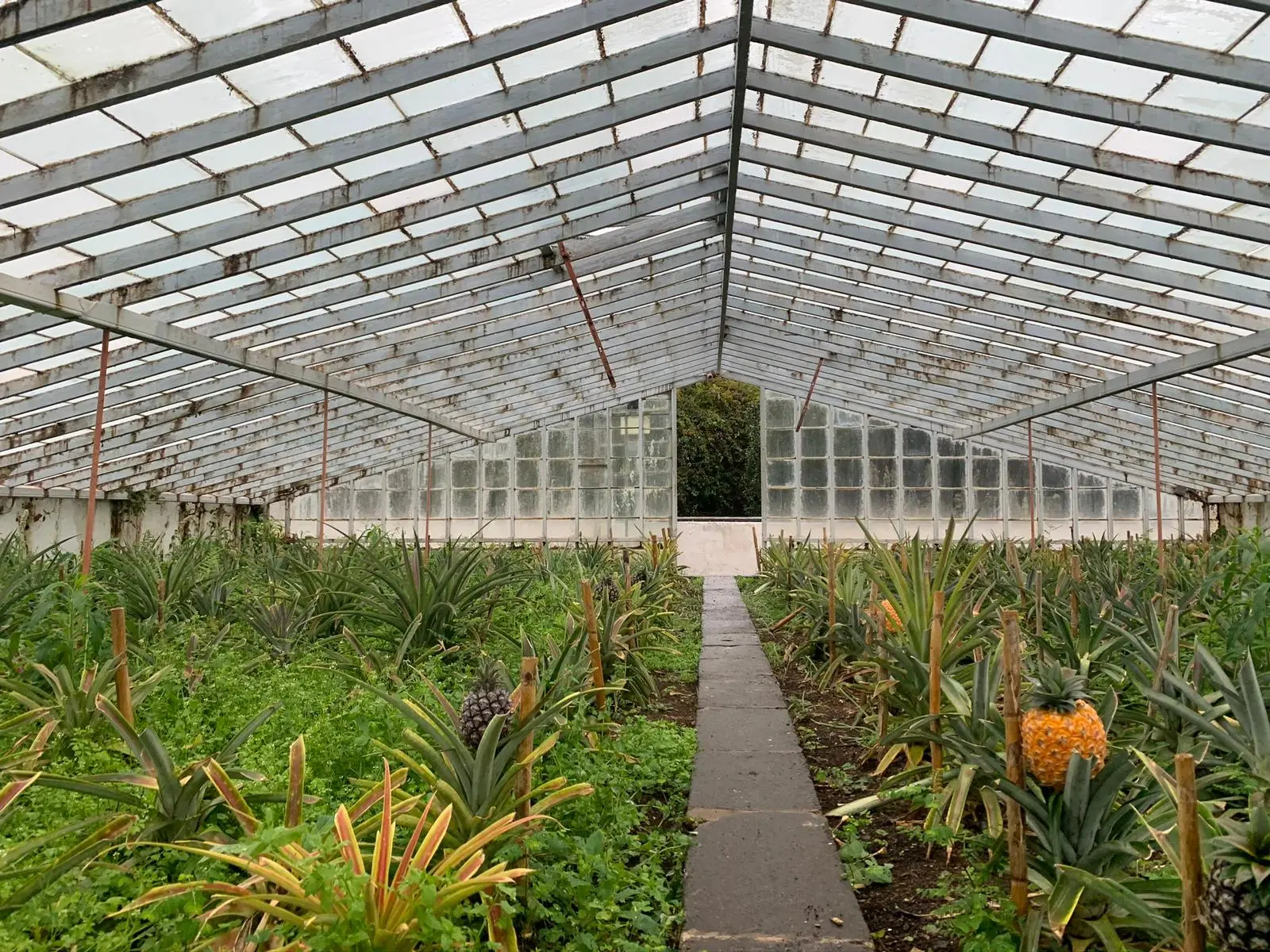 Zdjęcie z programu wyjazdu