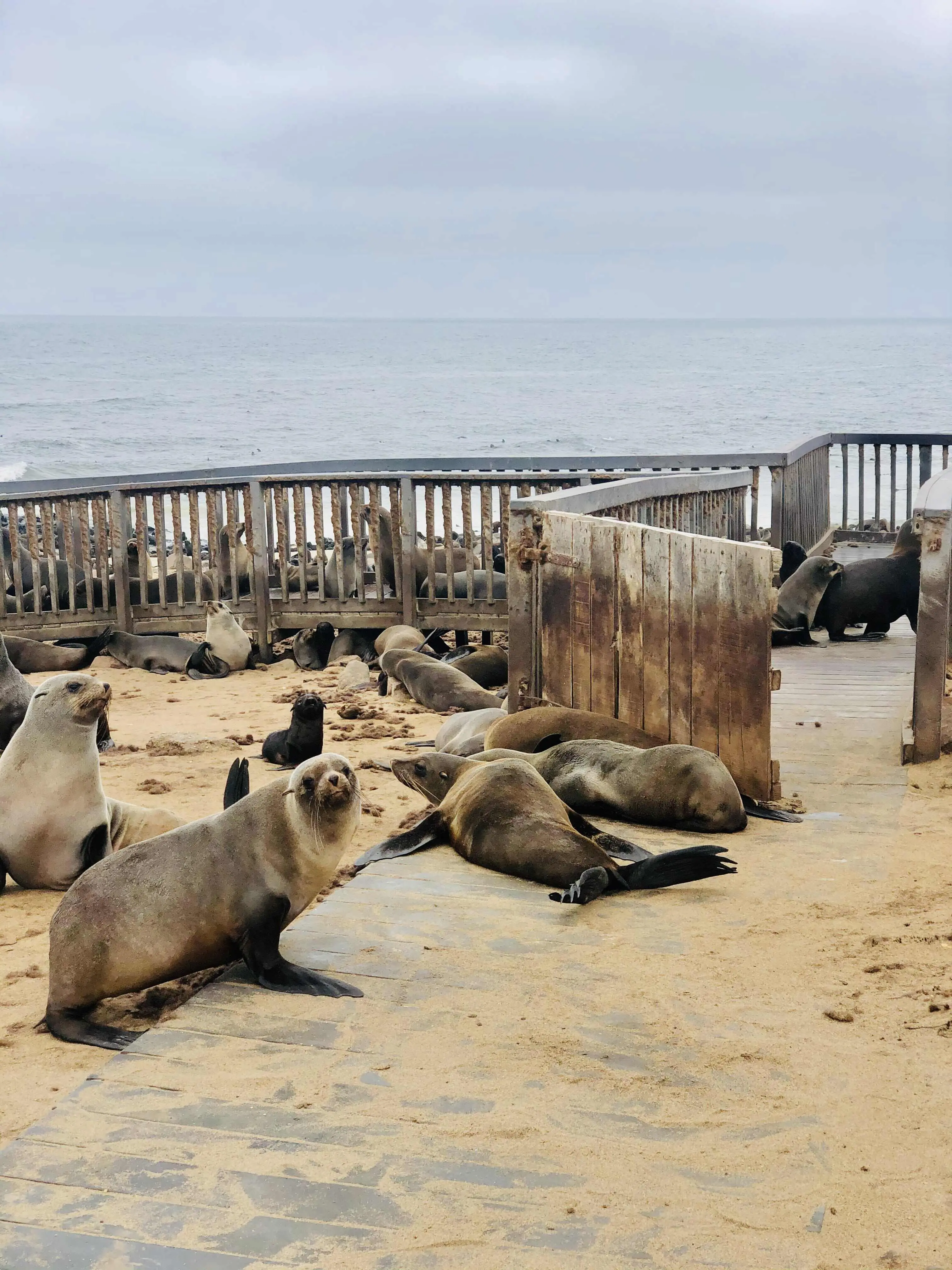 Zdjęcie z programu wyjazdu