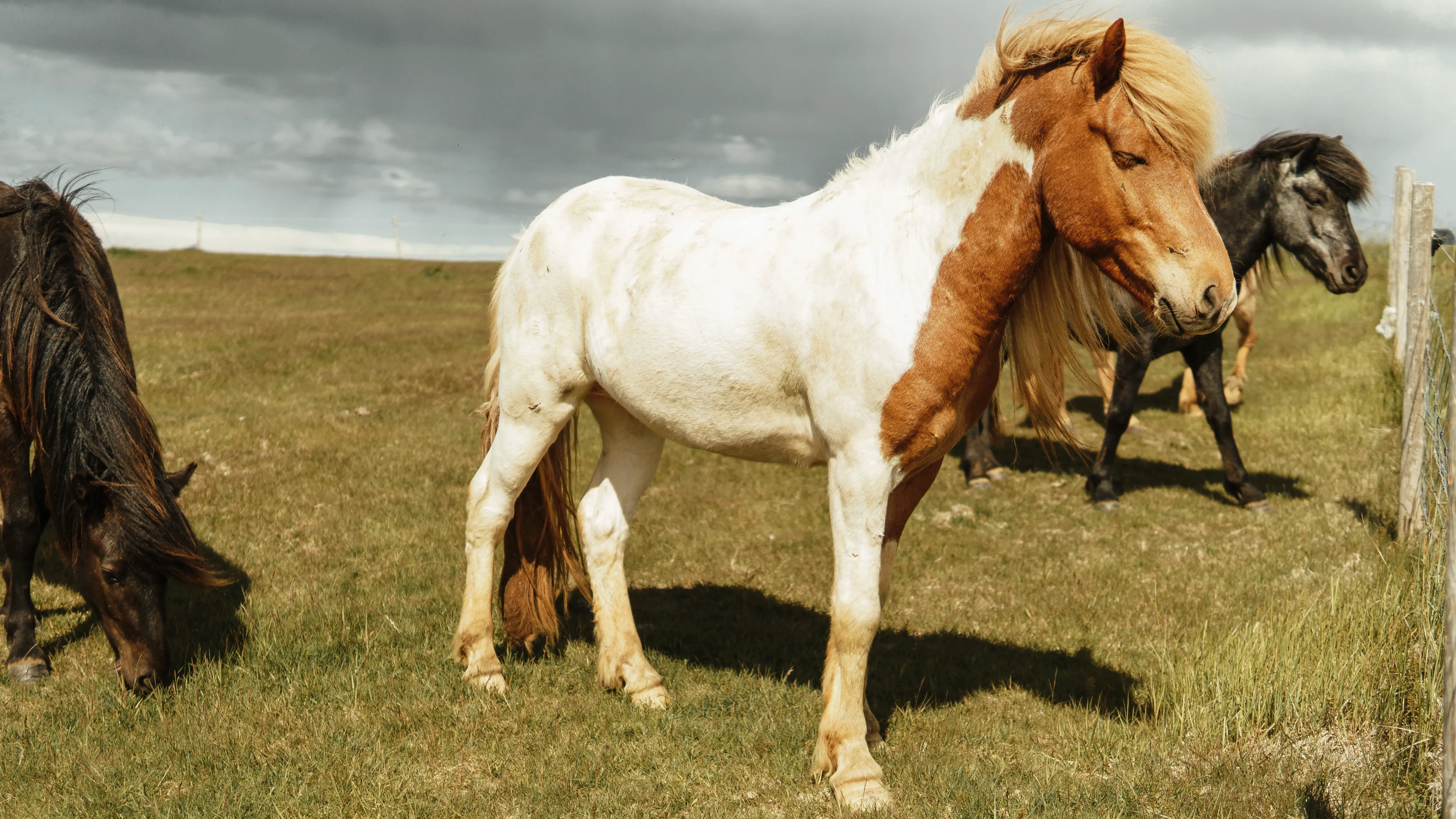 Zdjęcie z programu wyjazdu