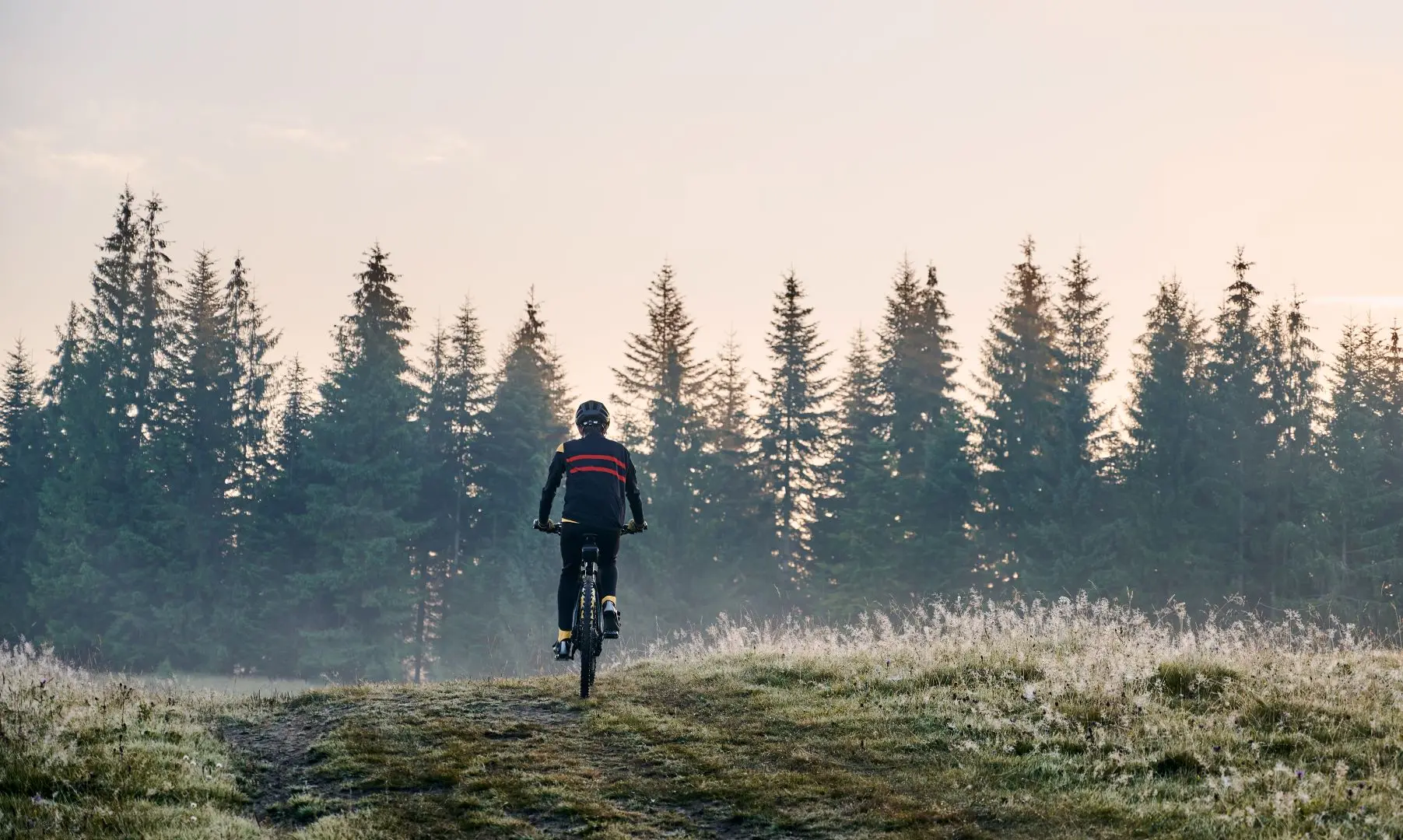 Zdjęcie z programu wyjazdu