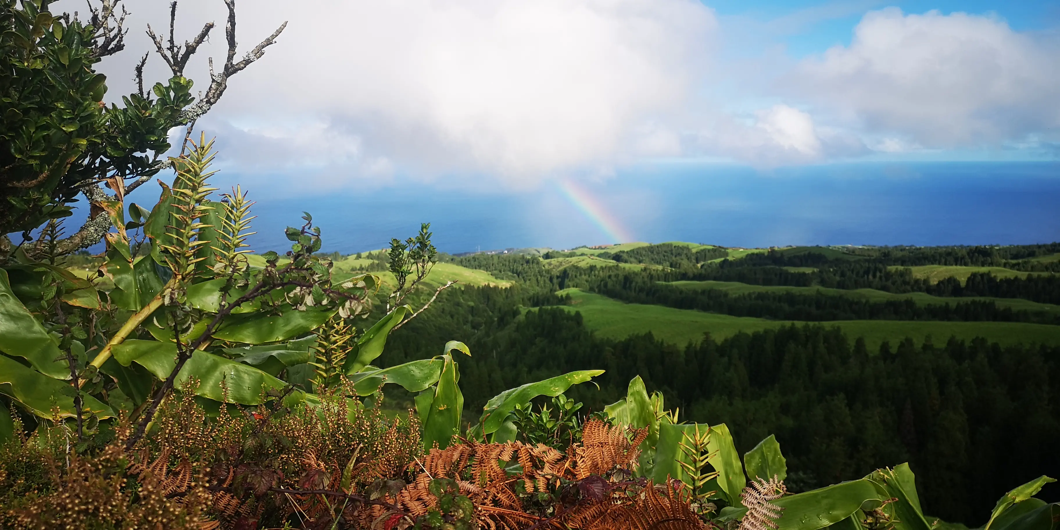 Zdjęcie z programu wyjazdu