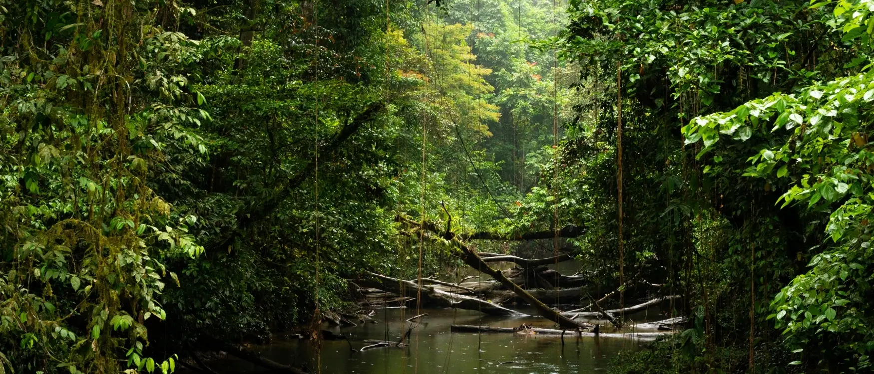 Zdjęcie z programu wyjazdu