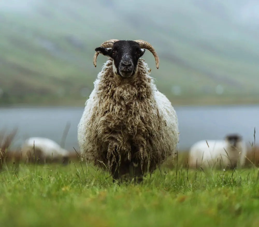 Zdjęcie z programu wyjazdu