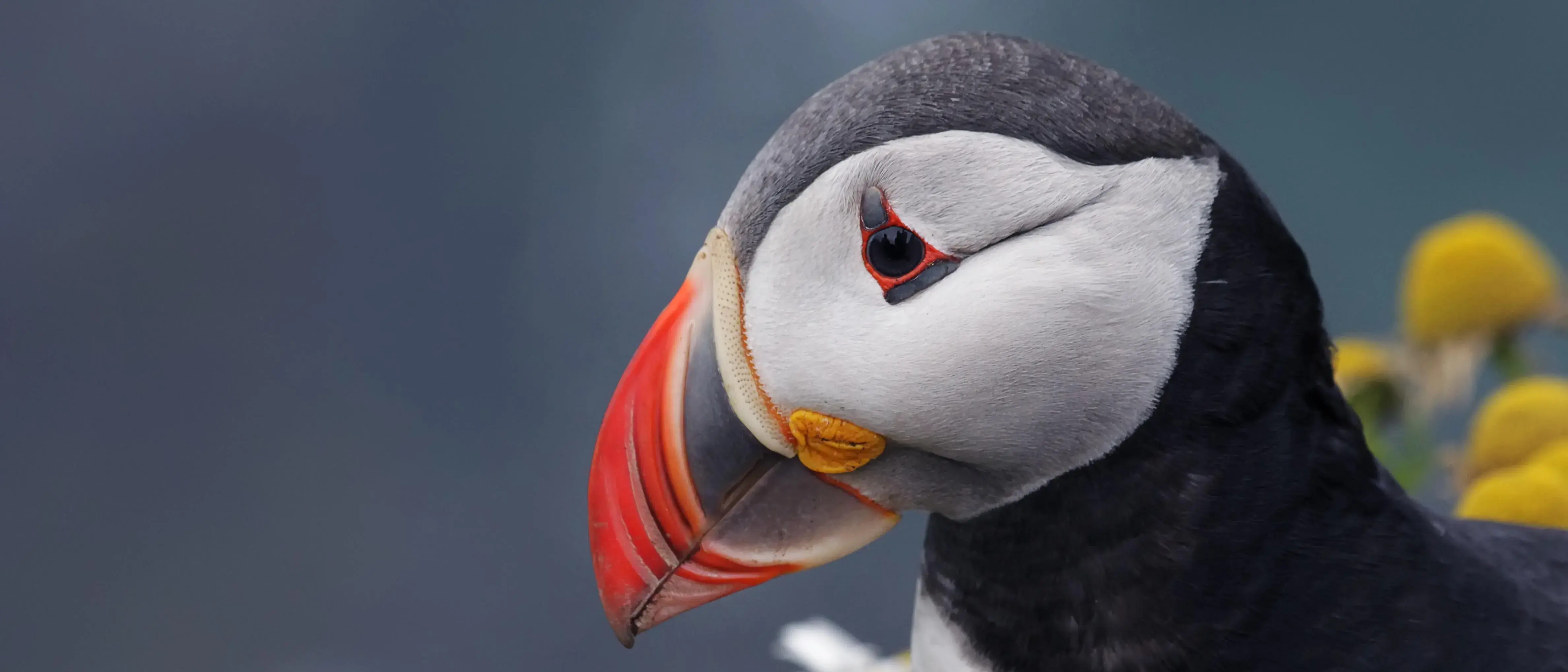 Zdjęcie z programu wyjazdu