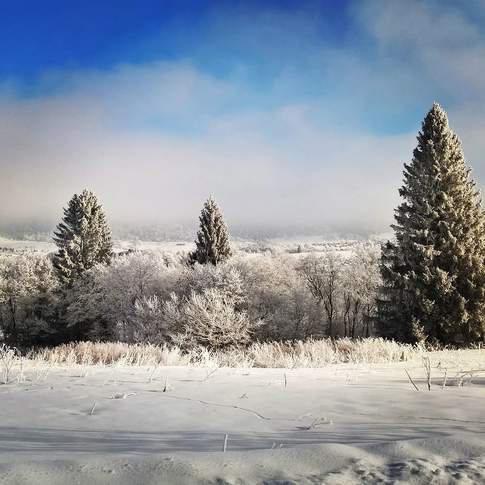 Zdjęcie z programu wyjazdu