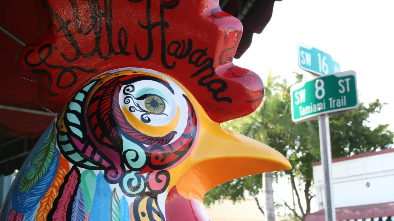 Zdjęcie z programu wyjazdu