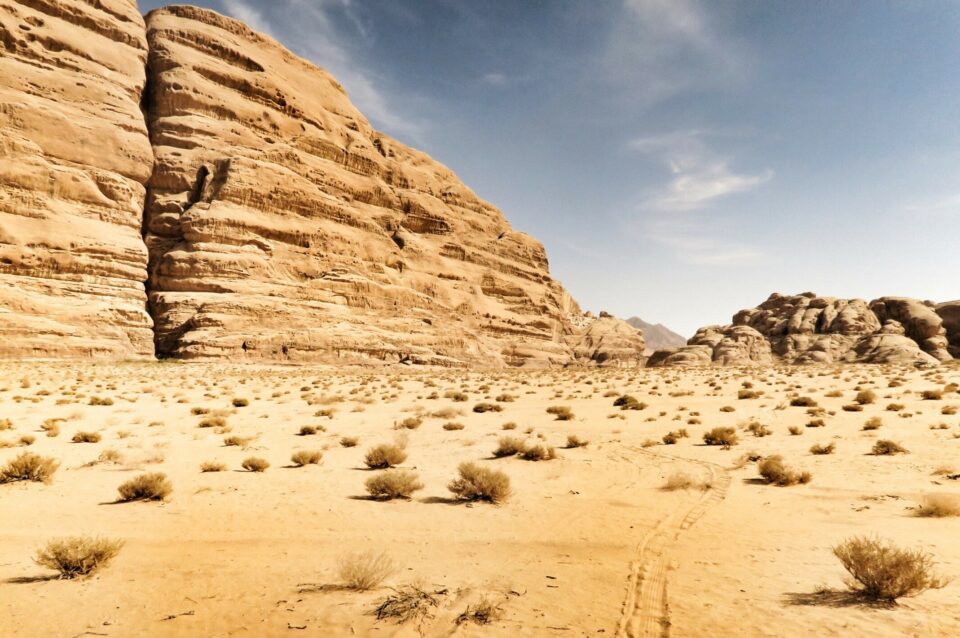 Jordania – pustynia i starożytne miasta 1