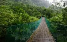 Wyjazd na Kostarykę – podróż po zielonej oazie szczęścia